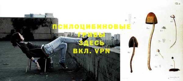 apvp Баксан
